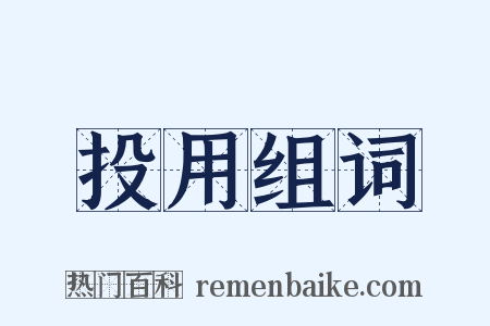 投用组词是什么意思的图片